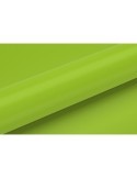 CC67 - Apple Green